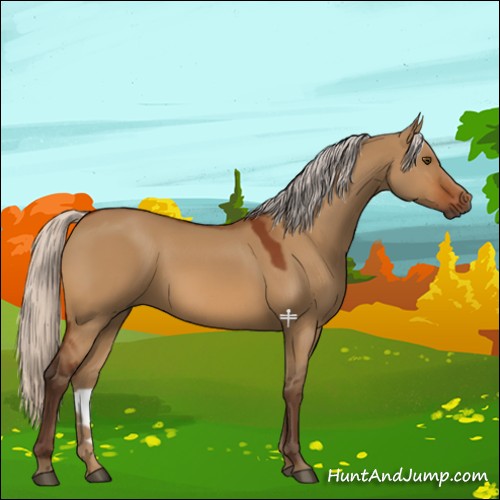 Horse Color:Silver Bay Dun 
