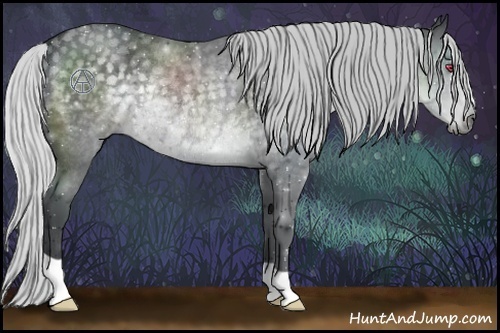 Horse Color:Silver Black Chinchilla Rabicano 