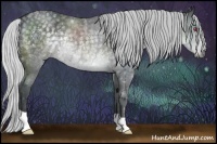 Horse Color:Silver Black Chinchilla Rabicano 