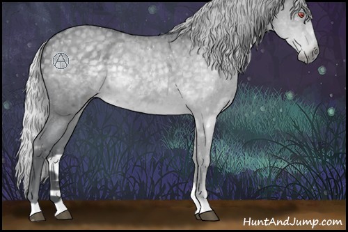 Horse Color:Silver Blue Chinchilla Roan Rabicano 