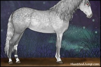 Horse Color:Silver Blue Chinchilla Roan Rabicano 