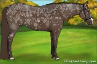 Horse Color:Liver Chestnut Ice 