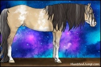 Horse Color:White Spotted Amber Champagne Dun