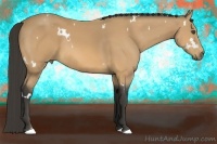 Horse Color:White Spotted Buckskin 