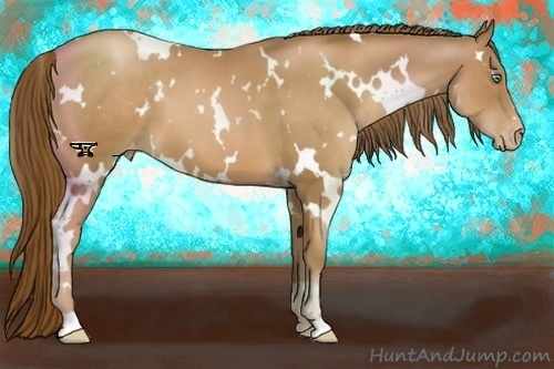Horse Color:White Spotted Liver Chestnut Pearl Varnish 