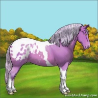 Horse Color:Watercolor Silver Sable Champagne Tobiano Appaloosa 