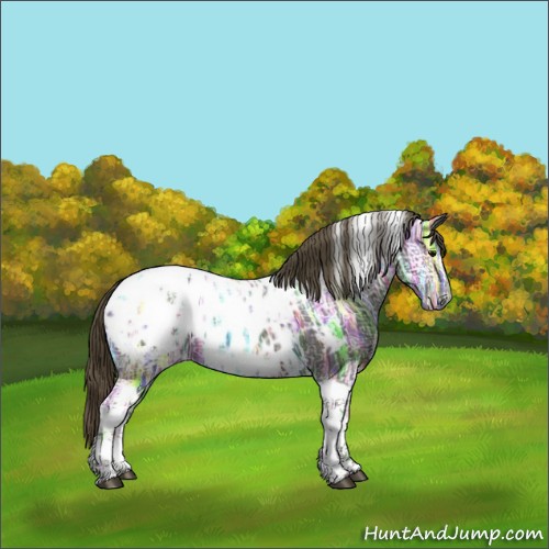 Horse Color:Smoky Black Ice Tobiano Appaloosa 