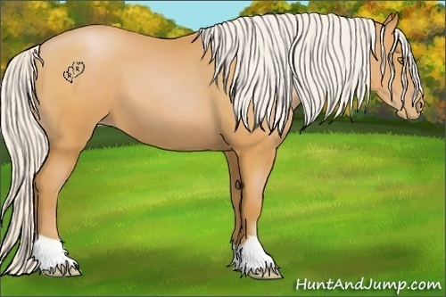 Horse Color:Silver Bay Pearl
