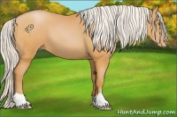 Horse Color:Silver Bay Pearl