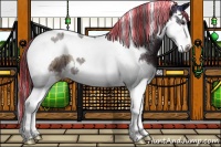 Horse Color:Painted Liver Red Onyx Ice Splash Tobiano Appaloosa 
