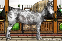 Horse Color:Painted White Spotted Brown Ice Splash Tobiano