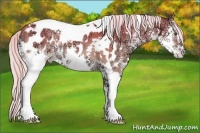 Horse Color:Silver Sable Champagne Ice Onyx Sabino Splash Tobiano Appaloosa 