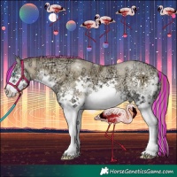 Horse Color:Painted Buckskin Ice Pearl Onyx Sabino Splash 