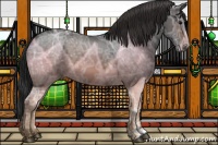 Horse Color:Brown Ice 