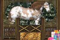 Horse Color:Brown Pearl Sabino Splash Blanket 