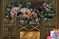 Horse Color:Buckskin Sabino Near Leopard 