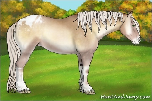 Horse Color:Chocolate Silver Smoky Blue Onyx Pearl Varnish 