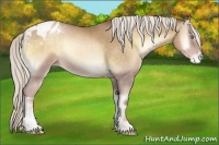 Horse Color:Chocolate Silver Smoky Blue Onyx Pearl Varnish 