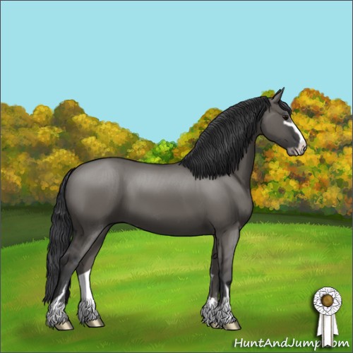 Horse Color:Grullo Sabino 