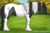 Horse Color:Black Tobiano 