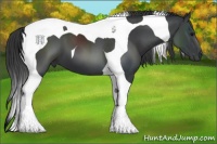 Horse Color:Black Tobiano 