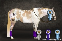Horse Color:White Spotted Liver Chestnut Pearl Appaloosa