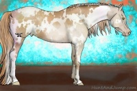 Horse Color:White Spotted Liver Chestnut Pearl Snowflake Varnish