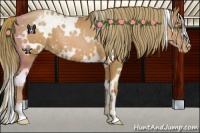 Horse Color:White Spotted Liver Chestnut Pearl Snowflake Varnish