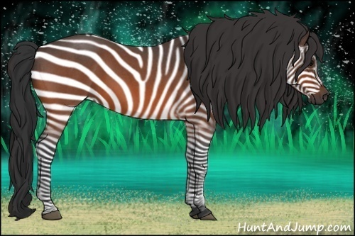 Horse Color:Bay Roan 