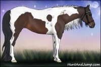 Horse Color:Brown Tobiano