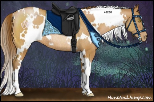 Horse Color:White Spotted Bay Pearl Rabicano 
