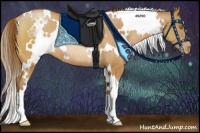 Horse Color:White Spotted Bay Pearl Rabicano 
