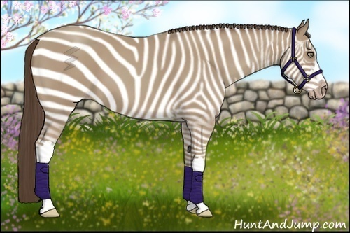 Horse Color:Classic Cream Champagne 