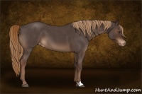 Horse Color:Liver Red Roan Varnish 