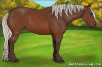 Horse Color:Silver Brown 