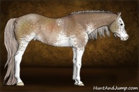 Horse Color:White Spotted Silver Brown Dun Rabicano 
