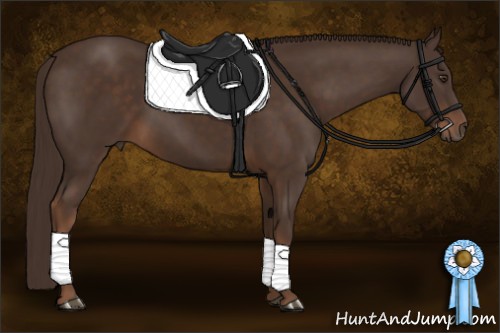 Horse Color:Liver Chestnut 