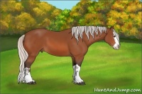 Horse Color:Silver Bay Splash 