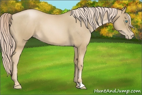 Horse Color:Chocolate Palomino Roan Pearl 