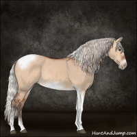 Horse Color:Silver Bay Dun Sabino Tobiano Frame Rabicano 
