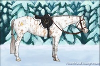 Horse Color:Amber Champagne Near Leopard  and Amber Champagne Blanket 