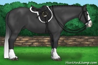 Horse Color:Black Splash 