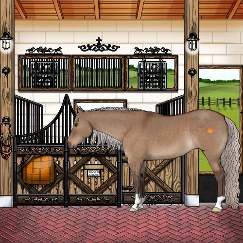 Horse Color:Silver Brown Dun Brindle