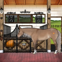 Horse Color:Silver Brown Dun Brindle 