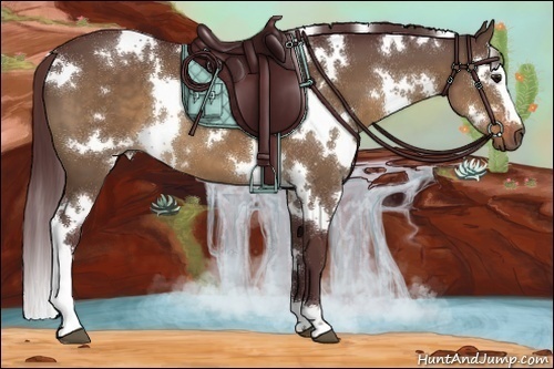 Horse Color:White Spotted Chocolate Brown Dun 