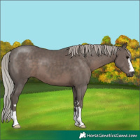 Horse Color:Silver Black 
