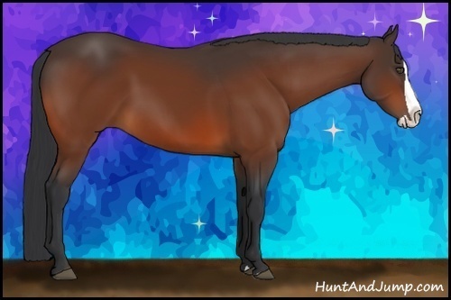 Horse Color:Bay Splash 