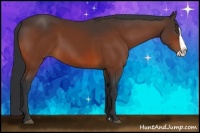 Horse Color:Bay Splash 