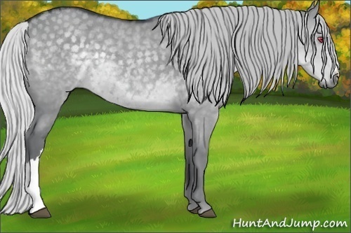Horse Color:Silver Grullo Chinchilla 