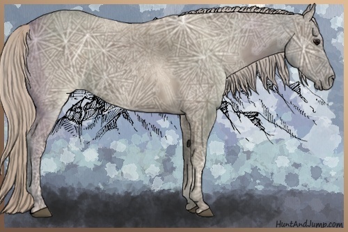 Horse Color:Silver Grullo Ice